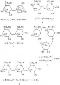 oligo