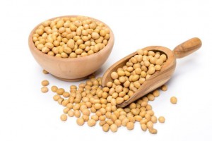 natto